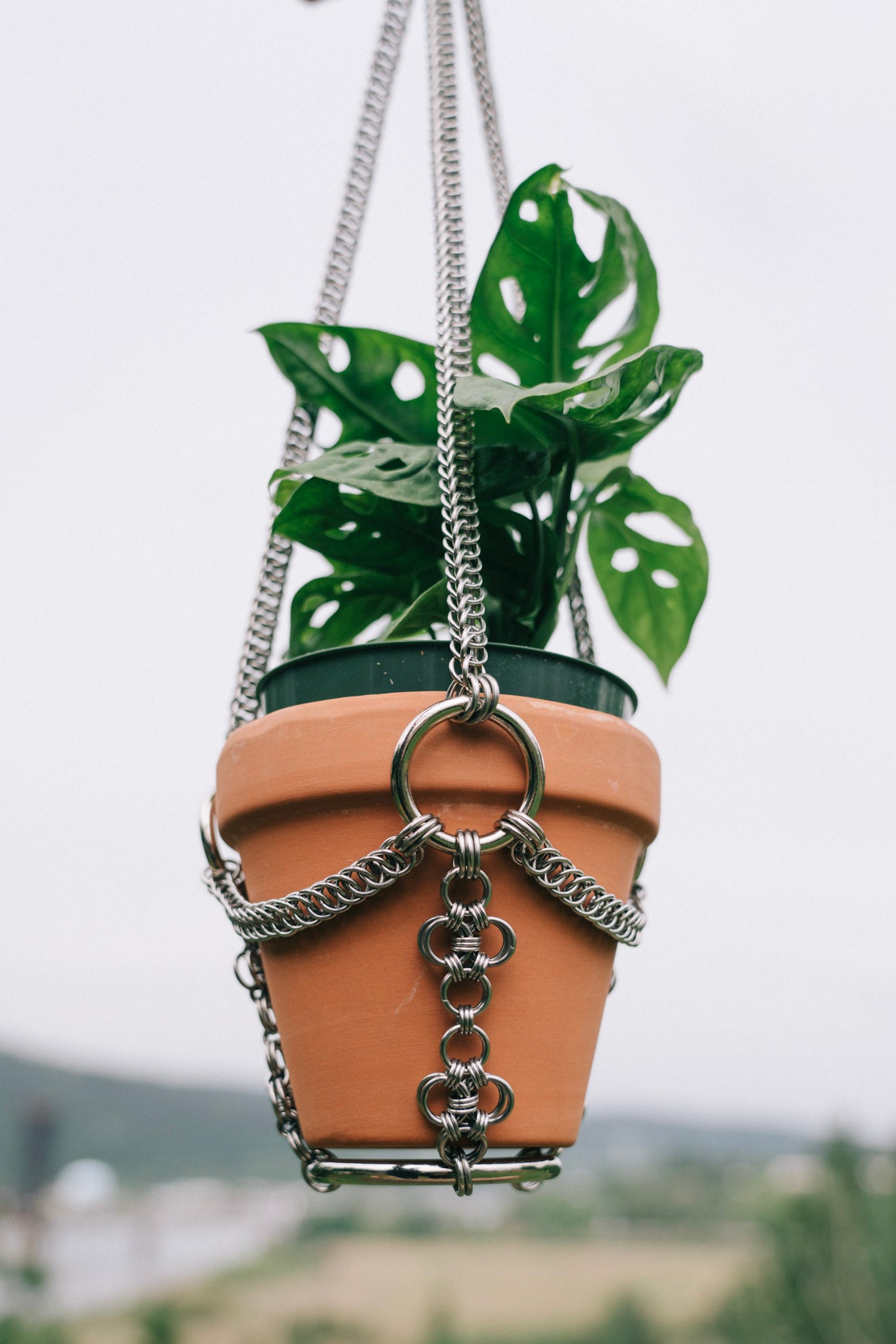 metal chain plant hanger Loretta | Dama de Malla
